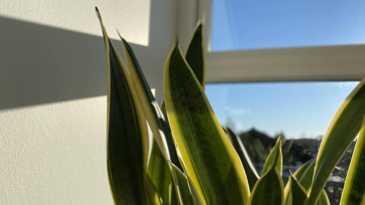 Villa Soholt - Silkeborg Bed And Breakfast Esterno foto